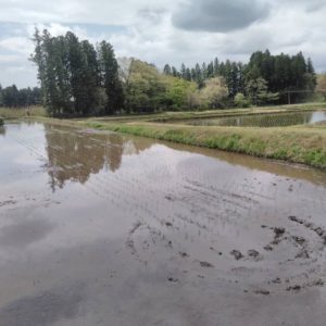 258891733_960110861592740_1407523651725733529_n