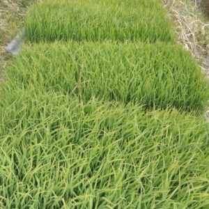 259880881_280231950664469_5001336141659153887_n