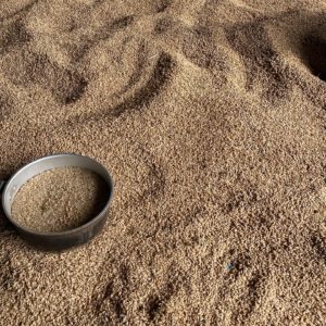 5B6F45B0-833C-499A-AB8D-E01C2585DAAF